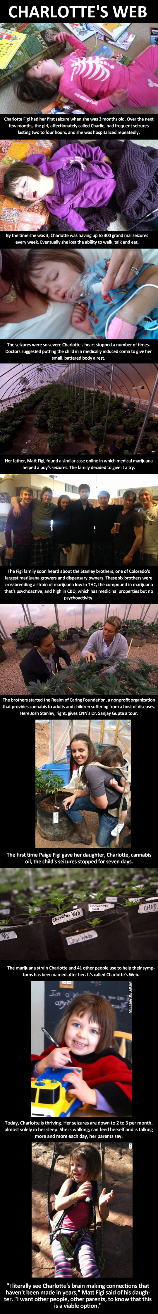 medicalMarijaunaCharlotte